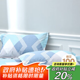 艾薇 A类枕套全棉一对装枕头枕芯套成人大号忱套家用 巴德尔 48*74cm