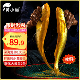 黄小渔【冰鲜野化】宁德深海大黄鱼 1.8斤/2条 黄花鱼 年货送礼源头直发