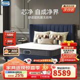 席梦思（Simmons）弹簧床垫护脊款独立袋装弹簧吸湿排汗抗菌床垫 瑞址 1.8*2米 偏硬