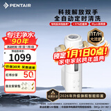 滨特尔（pentair）前置过滤器大通量家用全屋自来水管道40μm过滤器大流量水驱涡轮+反冲洗刮洗净水器 【上门安装】S260全自动11T/H