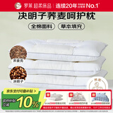 罗莱家纺 枕头枕芯脊椎枕 100%全棉决明子荞麦花草护颈枕 46*72