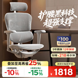 Ergonor保友金豪b雄鹰 人体工学椅 电脑椅 电竞椅办公椅子可躺老板椅 【金豪b雄鹰X】银白网