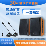 Gmtd 金迈中小型会议室音响麦克风套装USB无线话筒专业音响功放设备视频会议麦克风音响组合30-200㎡ 30平米CL01音箱+一拖二s302（2支麦）