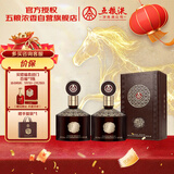五粮液股份 金碧辉煌 至尊版 浓香型白酒 52度 500mL*2瓶 年货送礼