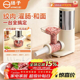 扬子（YANGZI）绞肉机家用灌肠绞肉一体机电动灌肠器灌香肠家用全自动灌肠机