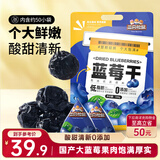 三只松鼠每日蓝莓干500g 蜜饯果干酸甜休闲零食下午茶孕妇儿童健康零食