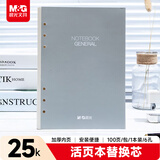 晨光(M&G)文具25K/6孔横线活页本子替芯 线圈纸 活页笔记本替换内芯 100页/包 单本APY9JT74