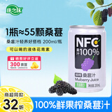 康之味NFC桑葚汁100%果饮原榨纯果汁鲜果蔬汁无添加饮料整箱非浓缩 NFC桑葚汁200ml*32听