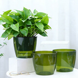 奥美优自动吸水绿萝花盆懒人塑料花盆水培植物容器储水专用特大号不漏水