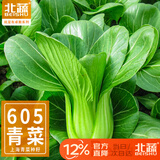 北蔬 小青菜种子苗上海青梗菜油菜种籽 速生605上海青种子50g约2万粒