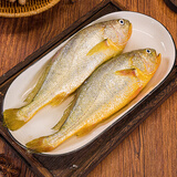 威尔斯宁德大黄鱼1000g/2条装 地标认证黄花鱼 生鲜鱼类春节也送货