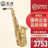 星海（XINGHAI INSTRUMENT）中音萨克斯 降E调萨克斯乐器 初学者演奏儿童 学生考级款萨克斯 升级款XAS-120/Eb调中音萨克斯