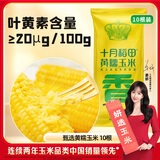 十月稻田 黄甜糯玉米 10根 4.4斤 东北甜黏玉米棒 真空包装 早餐苞米