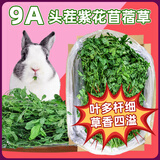牛宠26年新草9A烘干紫花苜蓿草兔子草料幼兔荷兰猪牧草小豚鼠粮食720g