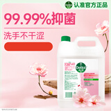 滴露（Dettol）洗手液补充装大桶消毒滋润5L 儿童家庭装杀菌护手