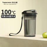 特百惠（Tupperware）晶彩mini塑料杯280ML 男女学生夏季水杯子儿童双饮口便携 酷炫黑