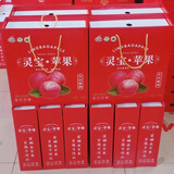 灵宝苹果河南灵宝寺河山SOD苹果富硒红富士脆甜冰糖心水果年货礼盒 100mm以上（手提9个装）