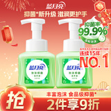 蓝月亮泡沫洗手液抑菌99.9% 泡沫细腻滋润护手(天然芦荟)255ml*2 泡泡