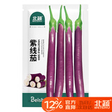 北蔬 线茄茄子种子种苗长茄杭茄早熟四季蔬菜种籽 北蔬紫线茄种子50粒