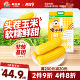 傻小胖内蒙黄糯玉米 3.6斤真空头茬玉米1小时锁鲜玉米非速冻代餐粗粮