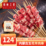 锡林之星内蒙古锡盟本地小羔羊肉串五花60串 新鲜半成品烤肉烧烤野营团建 五花羊肉串60串   带秘制烧烤料