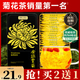 贡苑菊花茶30大朵安徽黄山金丝皇菊特级一杯一朵独立包装熬夜去火胎菊