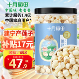 十月稻田 建宁去芯莲子 320g 大粒白莲子 冰糖红枣桂圆百合银耳羹