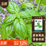 北蔬 罗勒种子苗大圆叶食用香料植物盆栽香草种籽 大叶罗勒种子600粒