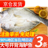 往牧 三去开背海鲈鱼/河鲈鱼 鲜活冷冻 去鳃去鳞 生鲜鱼类 海鲜水产 【大号3条】净重450g-400g/条