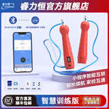 睿力恒中考专用跳绳官方菲普莱体育蓝牙智能初中生考试训练跳绳厂家直发 智慧B款蓝牙智能计时计数