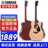 雅马哈（YAMAHA）吉他FG800初学者单板民谣FS800男女学生指弹原声弹唱电箱入门吉它 41英寸FG800MC 原木哑光缺角原声