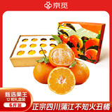 京觅四川丑柑不知火礼盒装 6斤12粒特大果 水果源头直发2月24后发货