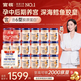 官栈 养宫鲜炖花胶 凝粹深海花胶鱼胶 孕产妇月子营养滋补品礼盒 【深海鳕鱼胶皇】月套餐 90g*24瓶 （每周发6瓶）