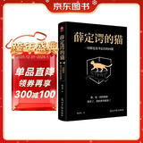 薛定谔的猫：一切都是思考层次的问题