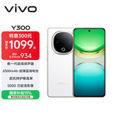 vivo Y300 8GB+256GB 瑞雪白 国家补贴 新一代超级扬声器 6500mAh超薄蓝海电池 超抗摔护眼直屏 AI手机