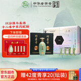 竹叶青酒 露酒 青享20版 53度500mL*2瓶 航空仓礼盒装  山西杏花村汾酒
