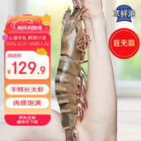 京鲜港手臂长红爪大对虾 1只0.6斤 蒜蓉芝士烤 大虾礼盒  源头直发送礼