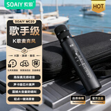 索爱（soaiy）MC20 蓝牙无线麦克风 话筒音响音箱一体麦克风 手机直播录音会议话筒K歌宝 黑色