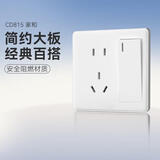 德力西(DELIXI)开关插座面板 CD815系列 10A五孔插座带一开双控开关