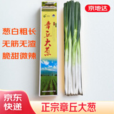 京地达正宗山东章丘大葱7斤礼盒 精选切叶蔬菜地方特产源头直发包邮