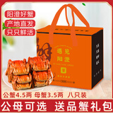 【活蟹】阳澄清歆大闸蟹 鲜活特大螃蟹公蟹母蟹 海鲜水产年货礼盒 公4.5-4.8两母3.5-3.8两 4对八只