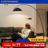 清瑶客厅沙发旁落地灯现代简约北欧全光谱卧室钓鱼灯极简设计感立式灯 护眼款大号205CM三色-大理石底座