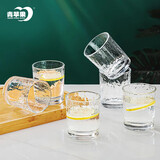 青苹果耐热玻璃水杯咖啡杯220ml6只 家用冰川锤纹茶杯洋酒杯啤酒杯