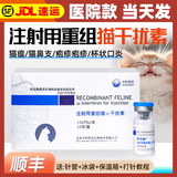 中科拜克猫干扰素重组注射液猫咪猫鼻支疱疹杯状病毒抑制蛋白猫瘟治疗套餐 猫干扰素5支/拆售【针+液】