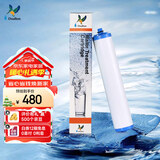 道尔顿（Doulton）【英国原装进口】净水器滤芯 KDF DIP301专用适配滤芯BioTect Ultra 9004型