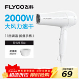 飞科（FLYCO）电吹风机家用发廊大功率2000W速干恒温便携可折叠白色FH6232