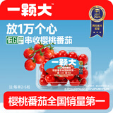 京鲜生 &一颗大 樱桃串番茄爆汁西红柿净重418g*2盒源头直发包邮