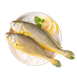 三都港 冷冻黄花鱼600g/2条装 宁德大黄鱼 深海鱼 生鲜 鱼类 海鲜