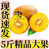 淳果一木 黄心猕猴桃 弥猴桃金果奇异果猕猴桃 新鲜水果 生鲜 水果 5斤 精品大果 单果100克+
