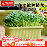 爱丽思（IRIS）种菜盆蔬菜种植箱塑料菜盆特大号阳台种菜神器户外花箱种花菜盆 【1个】大(60cm长)茶色 送隔网